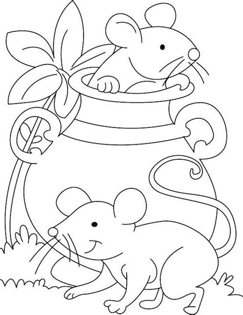 cutest pet mouse coloring pages  children coloring pages