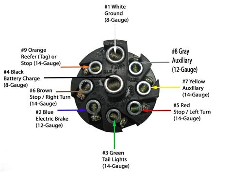 wiring diagram  pin trailer plug