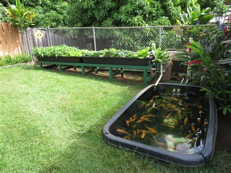 aquaponics urban farming hawaii