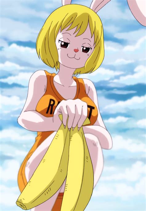 Image Carrot Stitched Cap One Piece Ep 779 Png Animevice Wiki