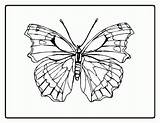 Coloring Pages Symmetry Popular sketch template