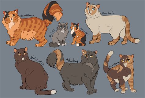 warrior cats oc ideas articlesaboutebookselectronicbooks