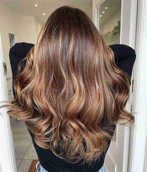 chocolate brown hair color  honey highlights