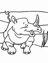 Rhino Nashorn Ausmalbild Ausmalen Rhinoceros sketch template