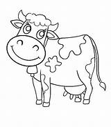 Cow Koe Kleurplaat Vaca Kuh Coloringpages Cows Kleurplaten Koeien Dieren Worksheets sketch template