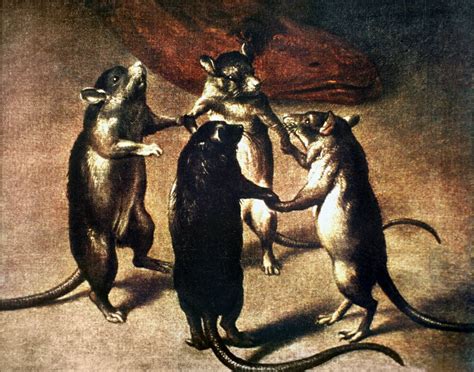 posterazzi plague dance of the rats nrats dancing at the time of the