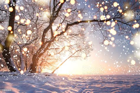 Christmas Background Magic Glowing Snowflakes In Winter Nature