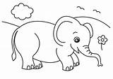 Coloring Elephant Pages Baby Unicorn Animals Realistic Bear sketch template