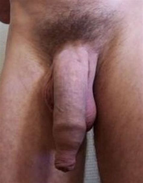 hooded cock beefy 11 inch cock