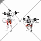 Barbell Squat sketch template