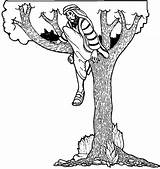 Tree Zacchaeus Coloring Sycamore Jesus Drawing Pages Getdrawings Wecoloringpage sketch template
