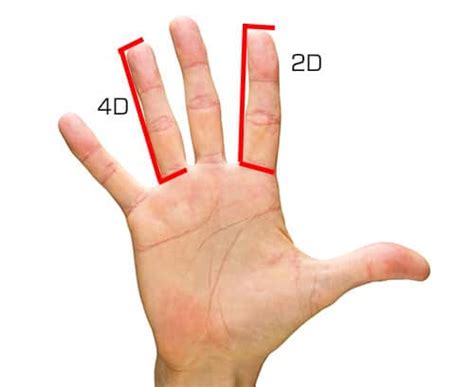 Instantly Determine Your Testosterone Levels With This “finger” Test