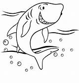 Coloring Pages Shark Printable Kids Clipart Library Sharks sketch template