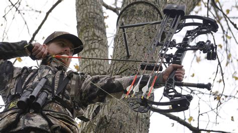 crossbow  vertical bow bowhuntingcom