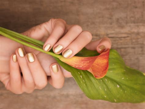 golden lotus nails spa