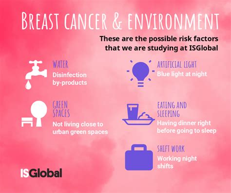 breast cancer and environmental factors what does science