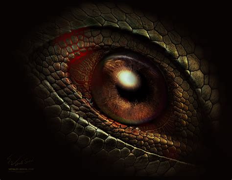dragon  eye  vitaly sokol  deviantart