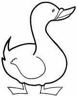 Canard Duck Ducks 1484 Colorier Canards Coloriages sketch template