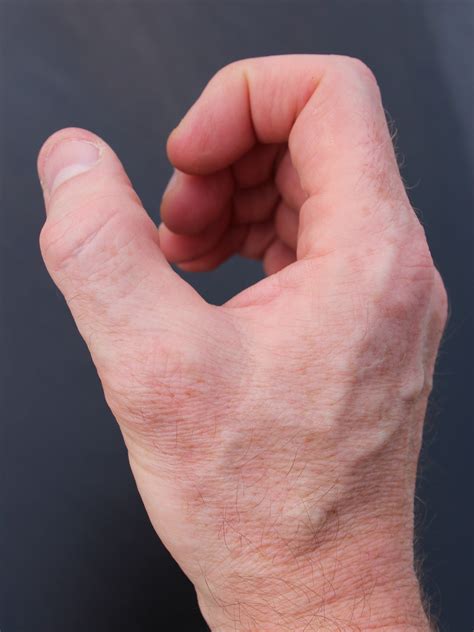 hand orgone research