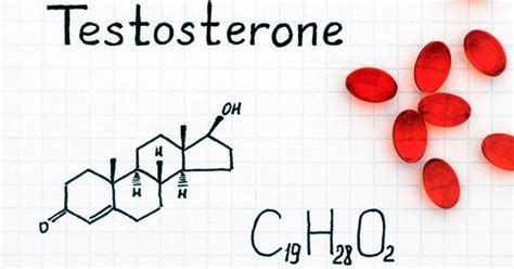 Pin On Hormones