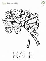 Kale Coloring Activities sketch template