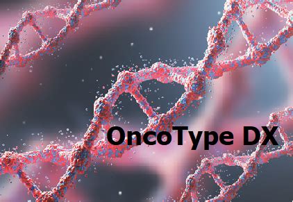 oncotype dx test