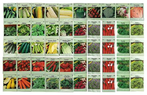 packs assorted heirloom vegetable seeds  varieties  seeds  heirloom   gmo