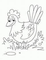Hen Colouring Poule Clipart Getdrawings Sharepoint Maternelle Mme Tps sketch template