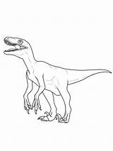 Velociraptor Jurassic Dinosaurier Ausmalbild Coloring Malvorlage Ausdrucken Raptor Malvorlagen Steinzeit Indominus Dinosaur Ausmalen Frisch Fotografieren Tyrannosaurus Kleurplaten Familie Schule Inspirierend sketch template
