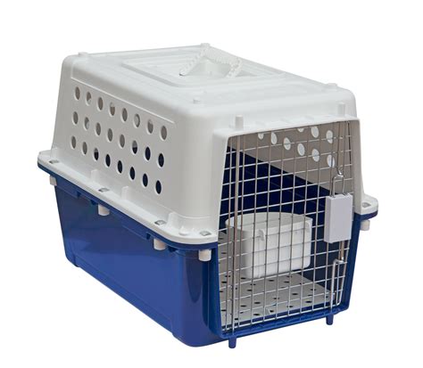 pp  pet carriercrate including water cup  fountain airline