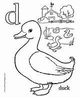 Coloring Pages Alphabet Duck Print sketch template