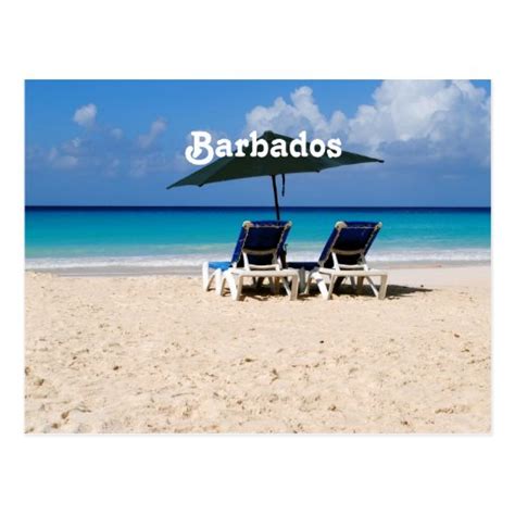 beach in barbados postcard zazzle