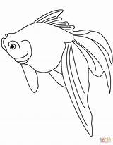 Coloring Goldfish Pages Fish Golden Paper Gold sketch template