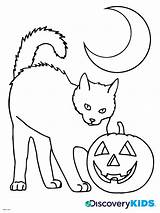 Halloween Coloring Pages Cat Kids Drawing Print Kitty Templates Printable Color Activity Popular Activities sketch template