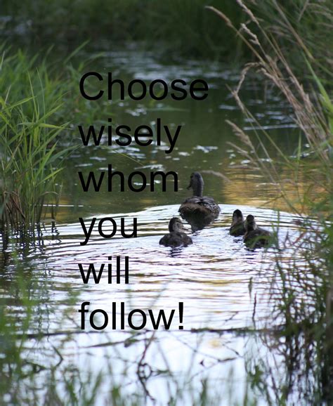 wilderness choose wisely    follow