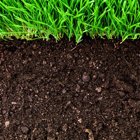 emerging land  practices rapidly increase soil organic matter regeneration international