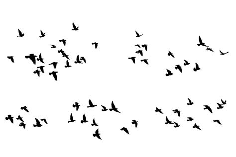 flying birds silhouettes pattern wallpaper vector illustration