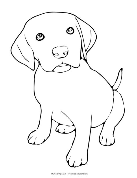 beautiful pictures labrador coloring page black lab coloring