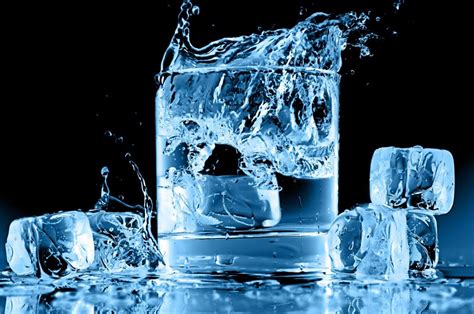 cold water facts     fat  burn fat read