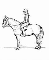 Horses Pferde Saddle Pferd Getdrawings Reiter Ausdrucken sketch template