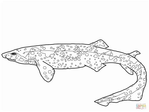whale shark coloring page