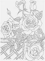 Coloring Pages Nature Printable Colouring Adults Adult Print Coloringpagesabc Detailed Roses Rose Color Para Flowers Dibujos Flores Bordar Drawing Kids sketch template