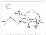 Camel Pyramids Passover Planerium sketch template