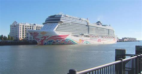 norwegian cruise lines vaccine passport fight   cbs miami