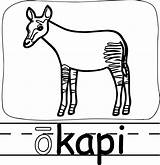 Okapi sketch template
