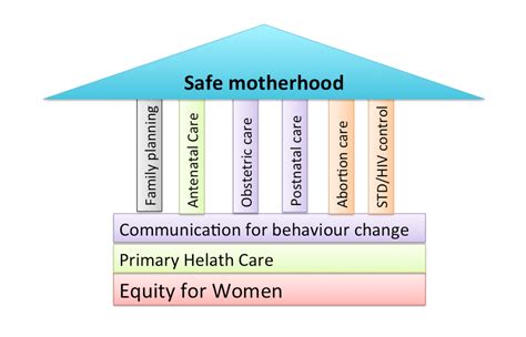 essentials of safe motherhood dimensions of public health
