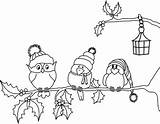 Birds Winter Christmas Digi Coloring Pages Stamps Digis Bird Choose Board sketch template