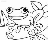 Coloring Toad Pages Frog Printable Kids Print Cool2bkids Cute Drawing Cartoon Frogs Animals Library Clipart Book Popular Animal sketch template