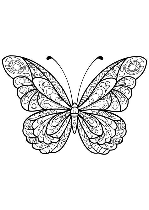 butterfly coloring pages  adults butterfly lets doodle