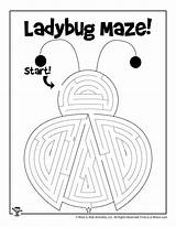Maze Ladybug Puzzles Mazes Woojr Jr Woo sketch template